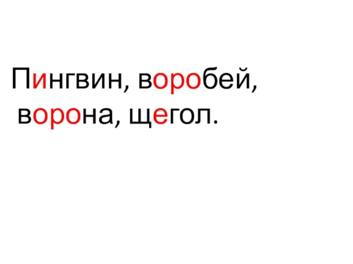 Пингвин, воробей,  ворона, щегол.