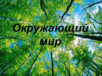 Урок по окружающему миру Путешествие в Египет учебно-методический материал по окружающему миру (4 класс)