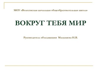 Исследовательский кружок Вокруг тебя мир презентация к уроку (окружающий мир, 3 класс) по теме