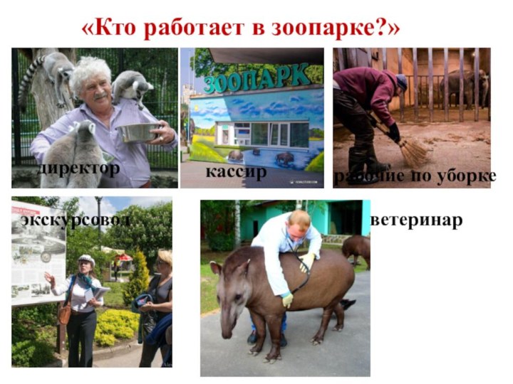 «Кто работает в зоопарке?» директоркассиррабочие по уборкеэкскурсоводветеринар