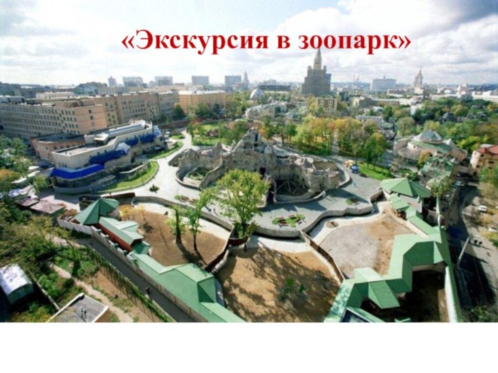 «Экскурсия в зоопарк»