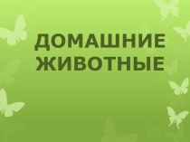 Презентация - Домашние животные. презентация к уроку по окружающему миру (старшая группа)