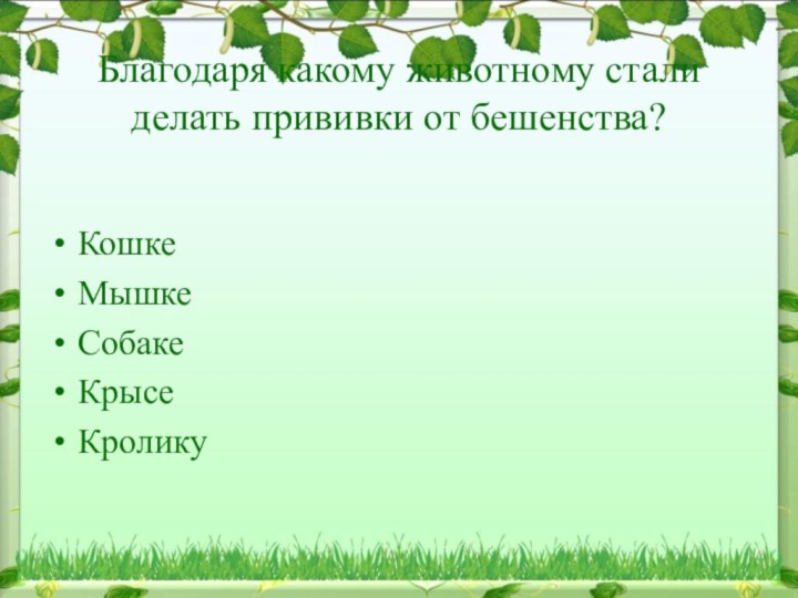 Благодаря какому животному стали делать прививки от бешенства?КошкеМышкеСобакеКрысеКролику