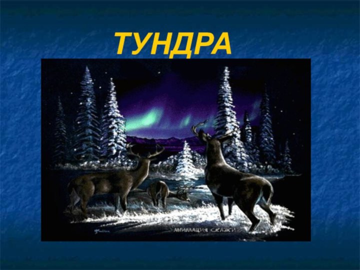 ТУНДРА