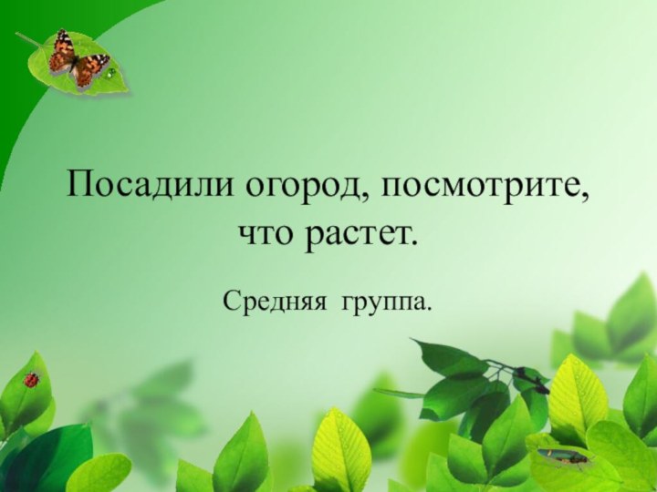 Посадили огород, посмотрите, что растет.Средняя группа.