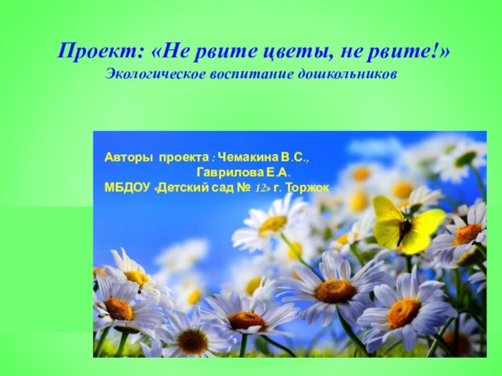 Проект: «Не рвите цветы, не рвите!»Экологическое воспитание дошкольниковАвторы проекта : Чемакина