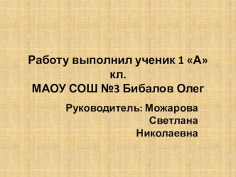 проект Автомобиль. Влияние на экологию города. презентация к уроку по окружающему миру (1 класс)