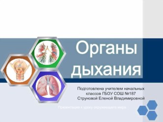 Презентация к уроку окружающего мира Органы дыхания презентация к уроку по окружающему миру (3, 4 класс)