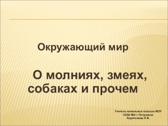 Презентация к уроку по окружающему миру в 3 классе О молниях, змеях, собаках и прочем... презентация к уроку по окружающему миру (3 класс)