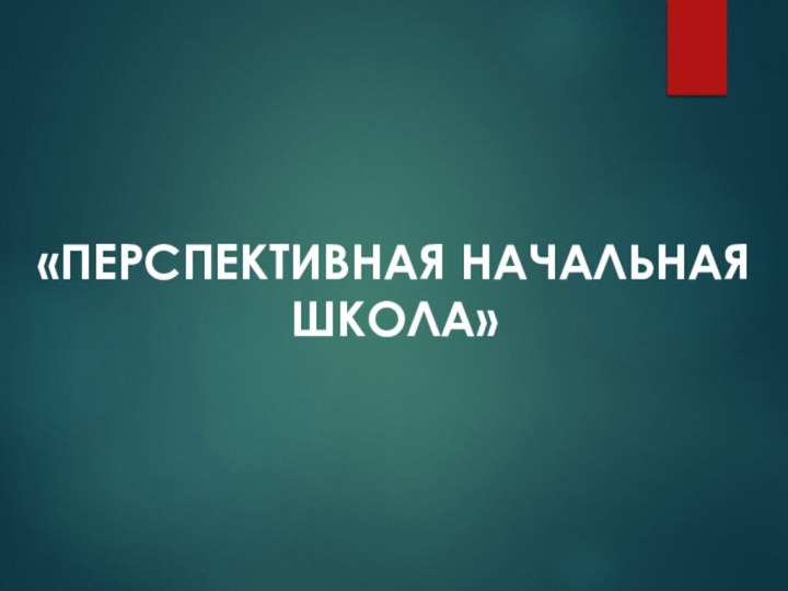 «ПЕРСПЕКТИВНАЯ НАЧАЛЬНАЯ ШКОЛА»