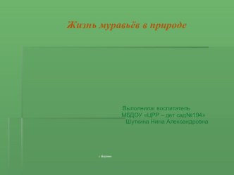 Жизнь муравьёв в природе презентация к уроку по окружающему миру (старшая группа)