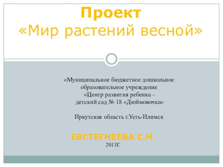 ЕВСТЕГНЕЕВА С.Н.2013Г.         Проект «Мир