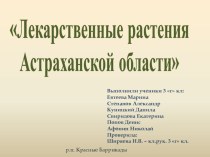 проект на школьную научно-практическую конференцию Лекарственные растения Астраханской области материал по окружающему миру (3 класс) по теме