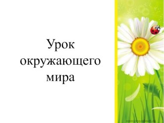 Конспект урока Вода и её свойства план-конспект урока по окружающему миру (3 класс) по теме