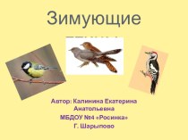 презентация Зимующие птицы презентация к уроку по окружающему миру (старшая группа)