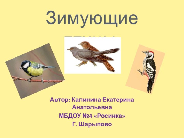 Зимующие птицы.Автор: Калинина Екатерина АнатольевнаМБДОУ №4 «Росинка» Г. Шарыпово