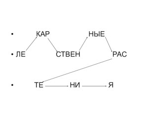 Конспект урока Природоведение 5 класс школа VIII вида  Лекарственные растения учебно-методический материал по окружающему миру (3 класс)