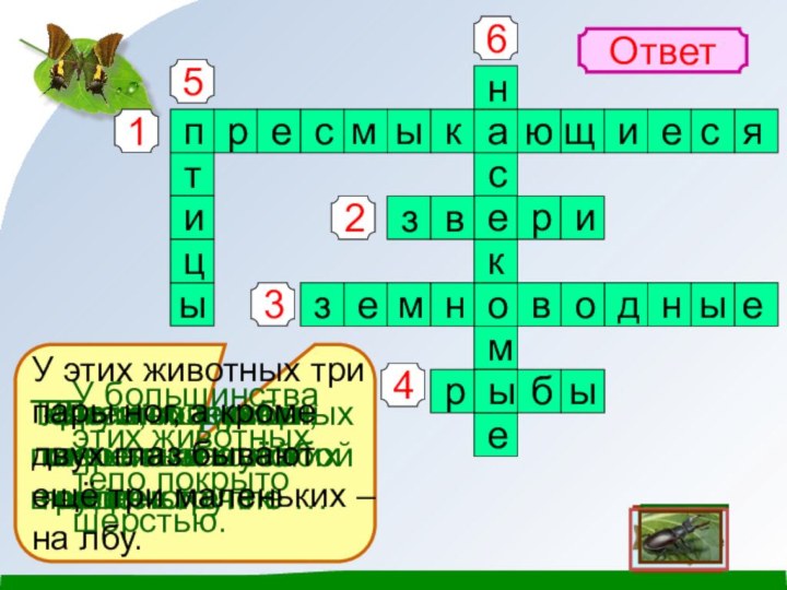 143256ОтветЗмеи, ящерицы,черепахи отно-сятся к группе …У большинстваэтих животныхтело покрыто шерстью.Лягушки и жабыотносятся