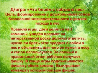 Дидактическая игра: Что берём с собою в лес презентация урока для интерактивной доски по окружающему миру (подготовительная группа)