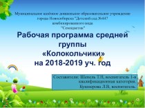 презентация рабочей программы средней группы Колокольчикина 2018-2019 уч. год презентация к уроку (средняя группа)