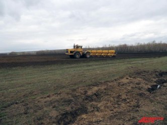 Конспект Нод по природному миру, презентация Хлеб - всему голова! презентация к занятию (окружающий мир, старшая группа) по теме