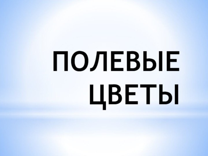 ПОЛЕВЫЕ ЦВЕТЫ