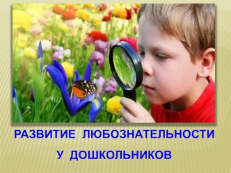 Развитие любознательности у дошкольников. презентация