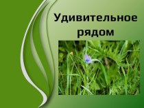 Презентация к внеклассному занятию Удивительное рядом. презентация к уроку по окружающему миру (3 класс) по теме