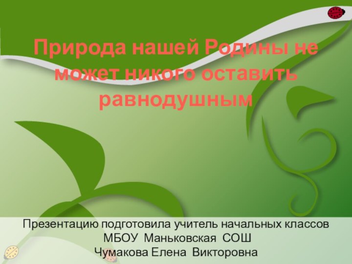 Природа нашей Родины не может никого оставить равнодушным Презентацию подготовила учитель начальных