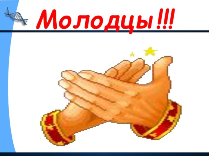 Молодцы!!!