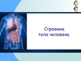 СТРОЕНИЕ ТЕЛА ЧЕЛОВЕКА план-конспект урока по окружающему миру (2 класс) Ну – ка проверь, дружок,Ты готов начать урок?Всё ль на месте, всё ль в порядке, Ручка, книжка, карандаш?Все ли правильно сидят?Все ль внимательно глядят?Каждый хочет получать Только 