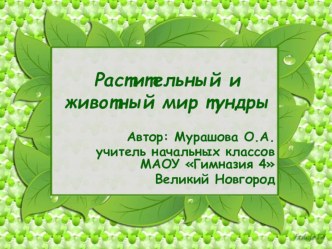 Растительный и животный мир тундры презентация к уроку по окружающему миру (3 класс) по теме