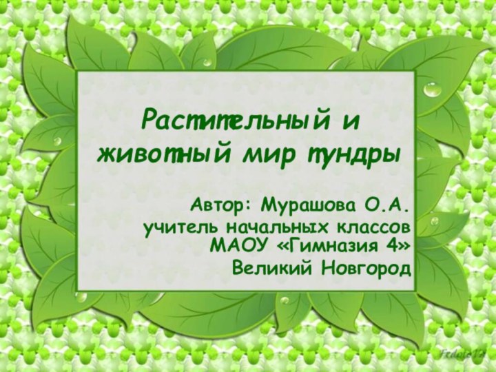 Растительный и животный мир тундрыАвтор: Мурашова О.А.учитель начальных классов МАОУ «Гимназия 4»Великий Новгород