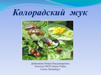 колорадский жук презентация к уроку по окружающему миру (2 класс)