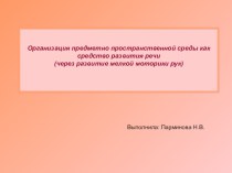 Организация предметно - пространственной среды как средство развития речи (через развитие мелкой моторики рук) учебно-методический материал по развитию речи (младшая группа)