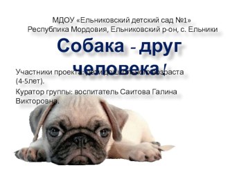 Проектно-исследовательская работа Собака- друг человека! проект (средняя группа) по теме