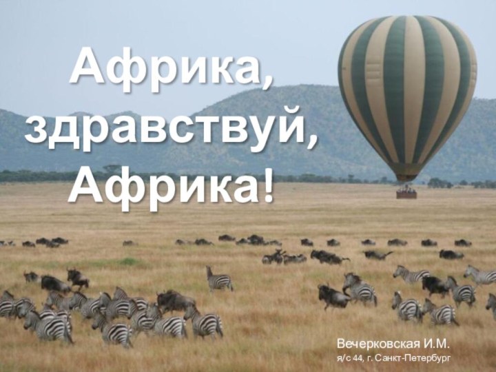 Африка, здравствуй, Африка!Вечерковская И.М.я/с 44, г. Санкт-Петербург