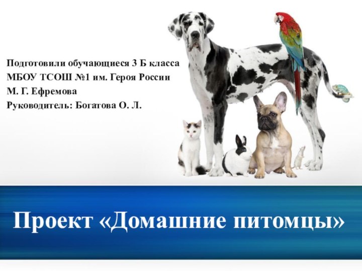 Проект «Домашние питомцы»Подготовили обучающиеся 3 Б классаМБОУ ТСОШ №1 им. Героя России