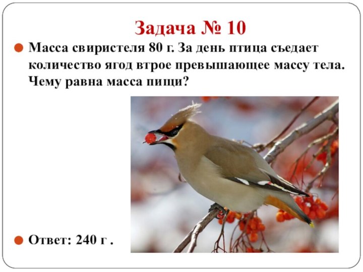 Задача № 10Масса свиристеля 80 г. За день птица съедает количество ягод