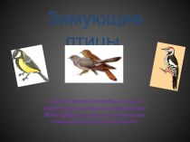 Зимующие птицы Презентация. презентация к занятию по окружающему миру (средняя группа) по теме