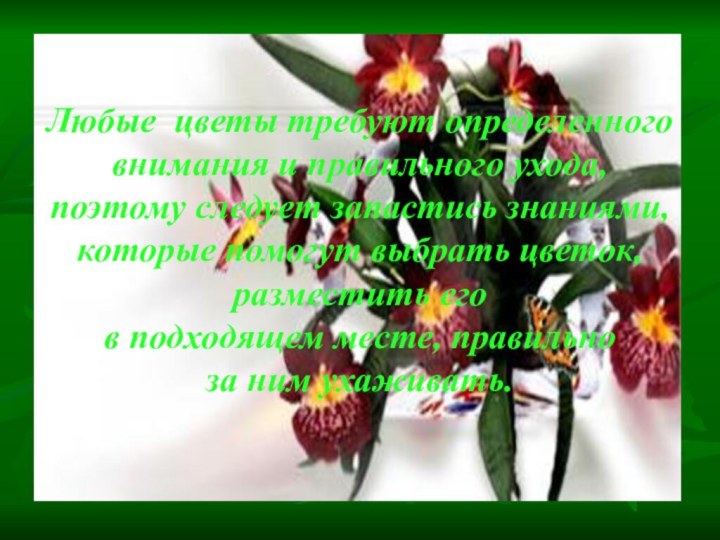 Любые цветы требуют определенного внимания и правильного ухода, поэтому следует запастись знаниями,