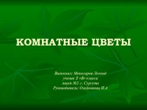 Комнатные цветы презентация к уроку по окружающему миру (2 класс) по теме