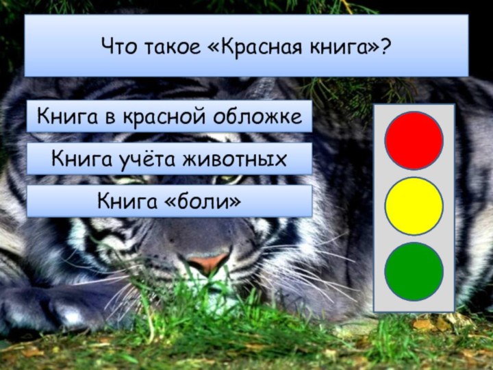 Что такое «Красная книга»?Книга в красной обложкеКнига учёта животныхКнига «боли»