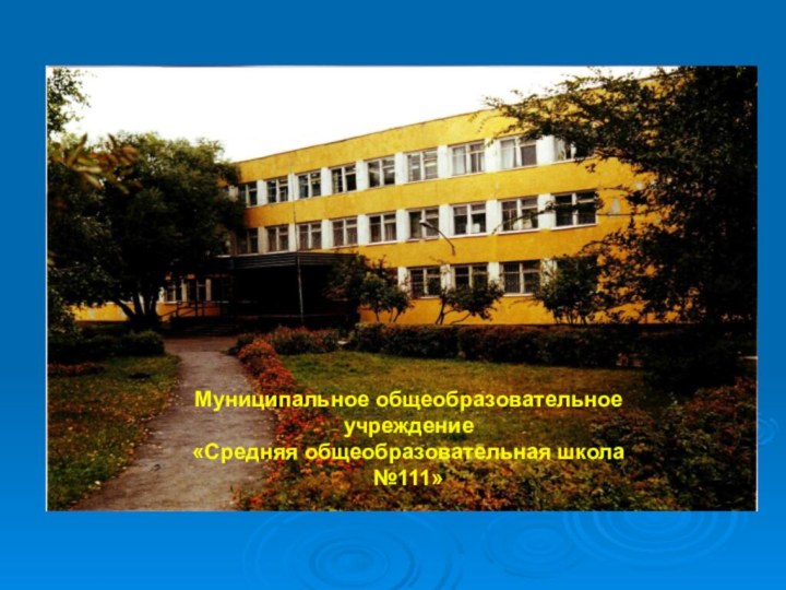 Муниципальное общеобразовательное учреждение «Средняя общеобразовательная школа №111»