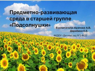 Предметно-развивающая среда в группе ДОУ презентация к уроку (старшая, подготовительная группа)