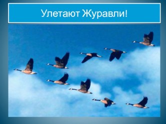 Презентация -Улетают Журавли! презентация к уроку по окружающему миру (подготовительная группа)