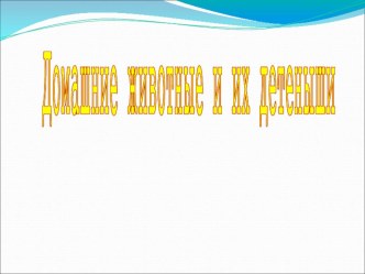 Презентация по лексической теме Домашние животные и их детеныши презентация к уроку (старшая группа)