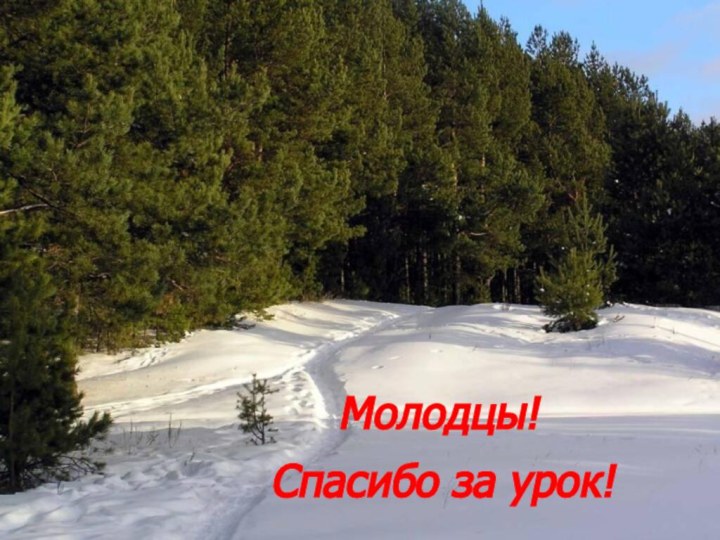 Молодцы!Спасибо за урок!