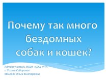 презентация к уроку Про кошек и собак - Почему так много бездомных кошек и собак?