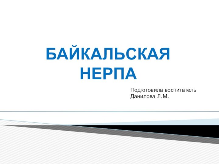 Байкальская нерпаПодготовила воспитательДанилова Л.М.